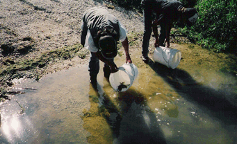 Fish being released at one of the lakes.